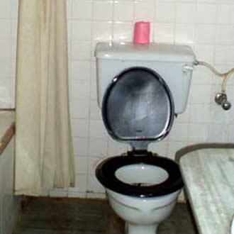 Hotel Skylark, Jalandhar 5